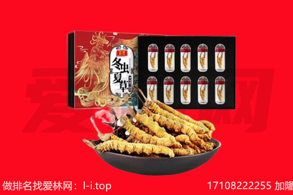 和田地区策勒县回收虫草.jpg